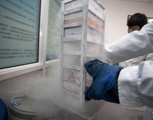 自精保存 自精保存