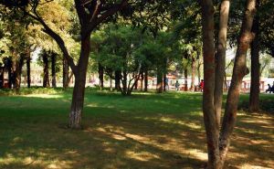 泰安金山公園 泰安金山公園