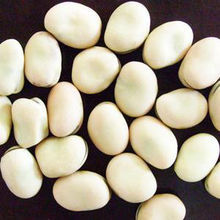銀色珍珠白豌豆