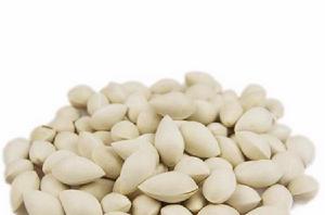 白果[植物種子]