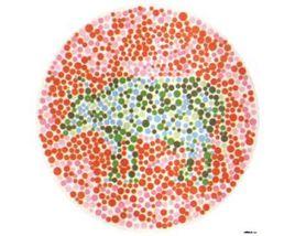 矯正色盲 矯正色盲