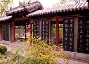 碑林公園 碑林公園