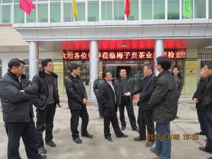 竹山縣橋東工業園區