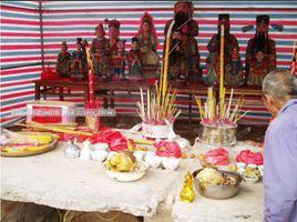 高州元宵燈會 高州元宵燈會