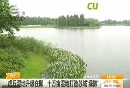 虎丘濕地公園 虎丘濕地公園