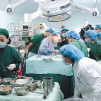 腎脂肪瘤 腎脂肪瘤