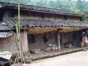 上曼箐村 上曼箐村