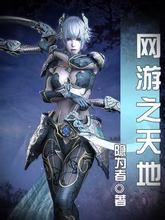 網遊之天地 網遊之天地