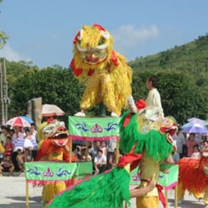 田陽壯族獅舞表演