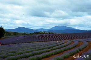 澳大利亞美麗農莊