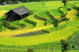 基場水族鄉 基場水族鄉