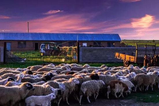 夏天千萬別去內蒙古!我是認真的...