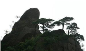 黃山蝦蟆峰 黃山蝦蟆峰