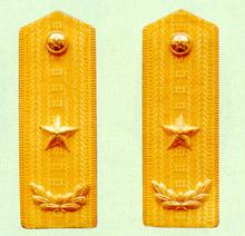 武警少將常服肩章(1988～2007)