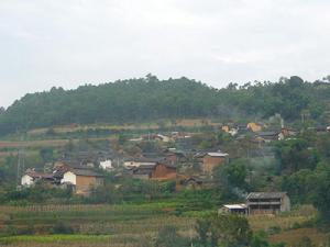 保子地自然村村貌