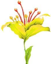 花粉濃度 花粉濃度