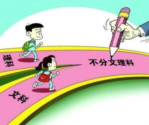 《國務院關於深化考試招生制度改革的實施意見》 《國務院關於深化考試招生制度改革的實施意見》