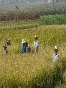 第一產業 第一產業