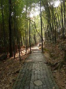 陰徑 陰徑