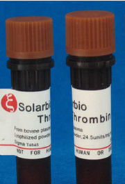 凝血酶時間 凝血酶時間