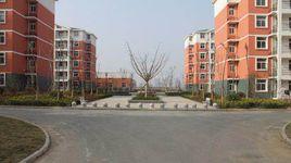 雙墩社區 雙墩社區