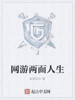 網遊兩面人生