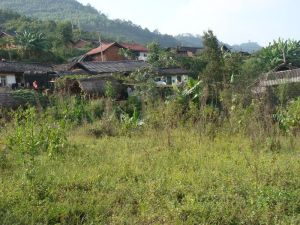 南坑中寨村 南坑中寨村