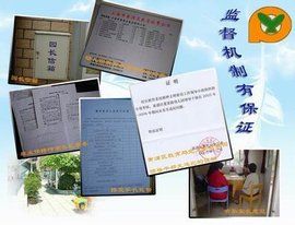 監督機制 監督機制