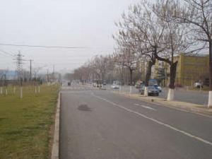 衡逸家園 衡逸家園