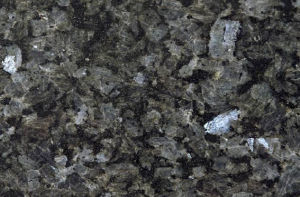 拉布拉多銀星 拉布拉多銀星