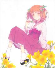 我女友與青梅竹馬的慘烈修羅場[A-1 pictures製作的動畫]