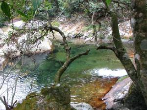 龍巖山國家森林公園