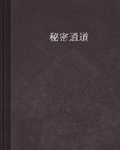 秘密通道 秘密通道