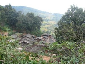 馬犁園村 馬犁園村