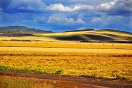 早秋[宋代楊億詩作]