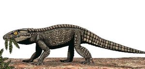 鱷形超目 鱷形超目