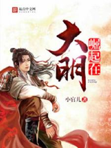 崛起在大明 崛起在大明