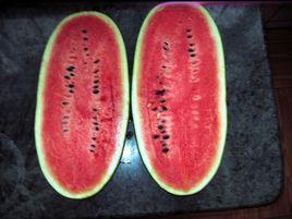 黑美人瓜 黑美人瓜