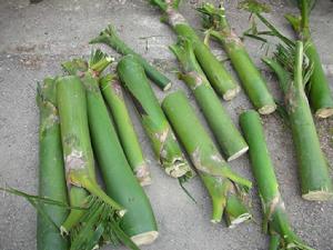 日月潭國家風景區