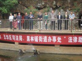 黑林鋪街道 黑林鋪街道