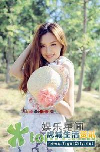 不該放棄 不該放棄