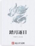 踏月逐日 踏月逐日