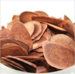 趙氏鹿茸片 趙氏鹿茸片