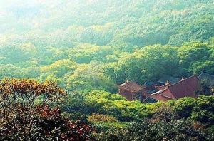 皇藏峪莪子 皇藏峪莪子