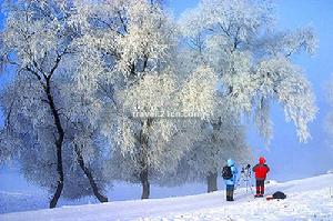 吉林高新技術產業開發區