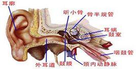 外耳道癤 外耳道癤