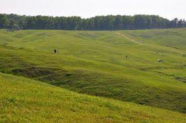 大柳草原 大柳草原