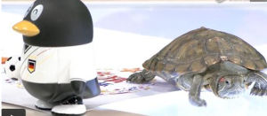 “桂孟孟”選擇德國