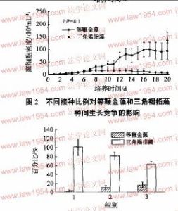 三角褐指藻 三角褐指藻