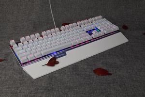 雷柏V760Miss定製版圖冊